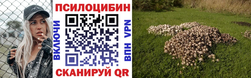 Галлюциногенные грибы MAGIC MUSHROOMS  Купить где  Никольское 